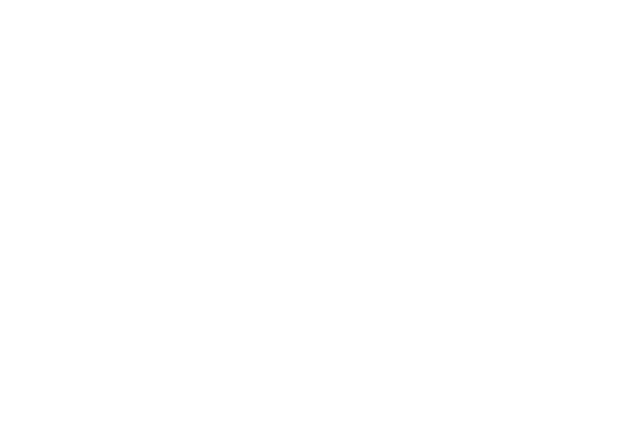 Fundamentals.